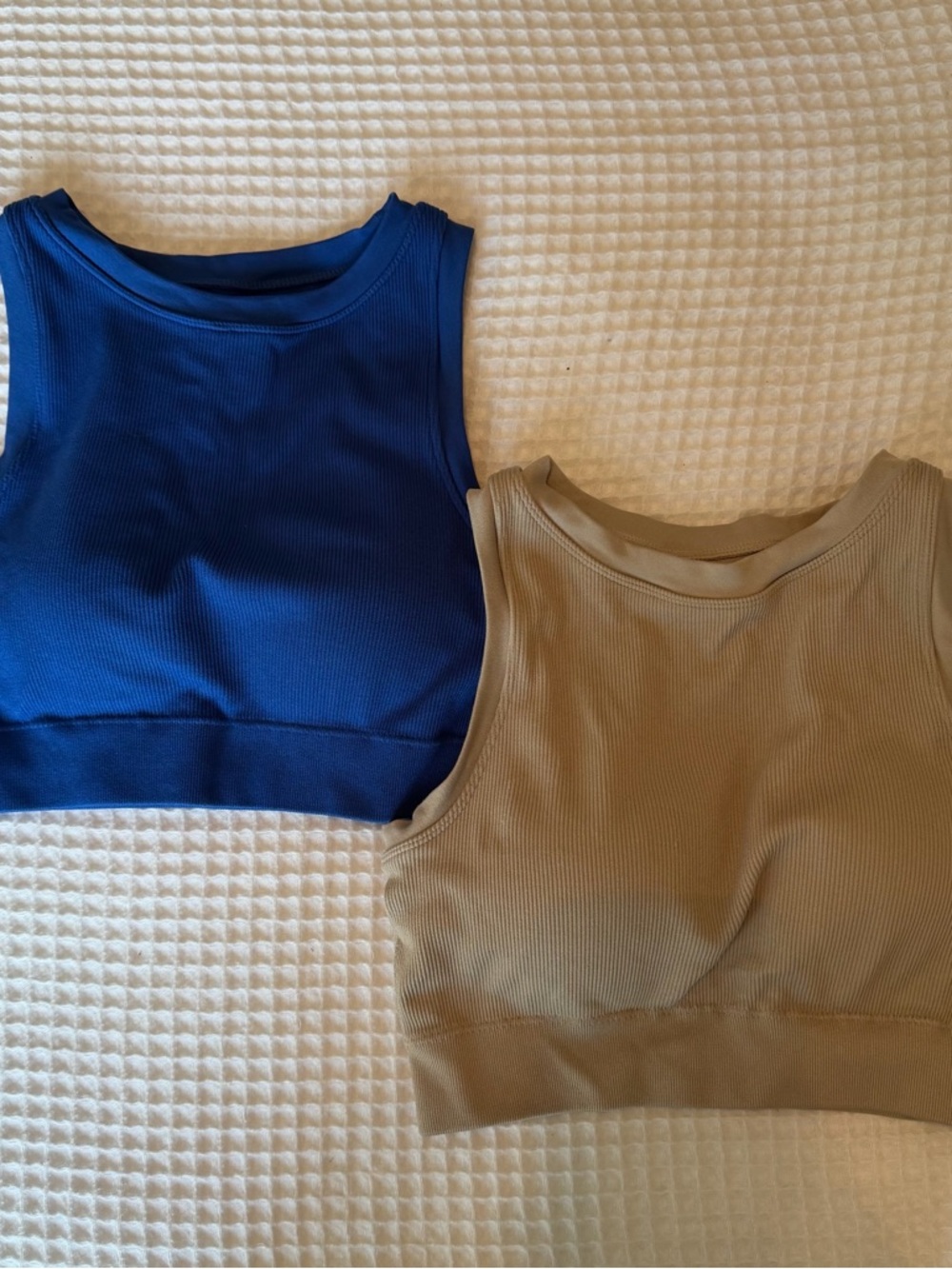 Ribbed Crop Tank Top in Royal Blue and Tan